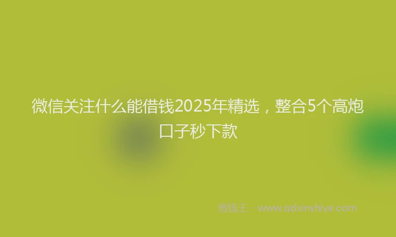 微信关注什么能借钱2025年精选，整合5个高炮口子秒下款