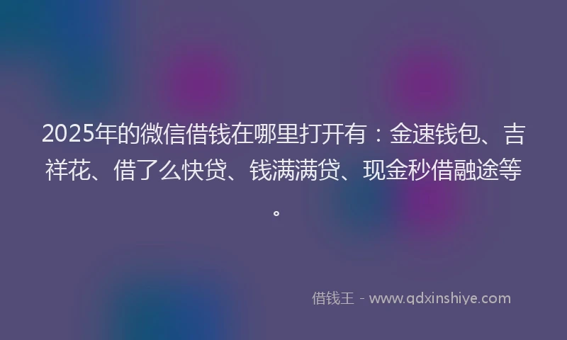 2025年的微信借钱在哪里打开有：金速钱包、吉祥花、借了么快贷、钱满满贷、现金秒借融途等。