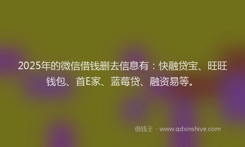 2025年的微信借钱删去信息有：快融贷宝、旺旺钱包、首E家、蓝莓贷、融资易等。