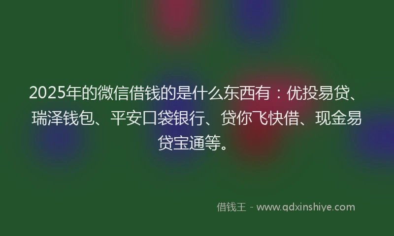 2025年的微信借钱的是什么东西有：优投易贷、瑞泽钱包、平安口袋银行、贷你飞快借、现金易贷宝通等。