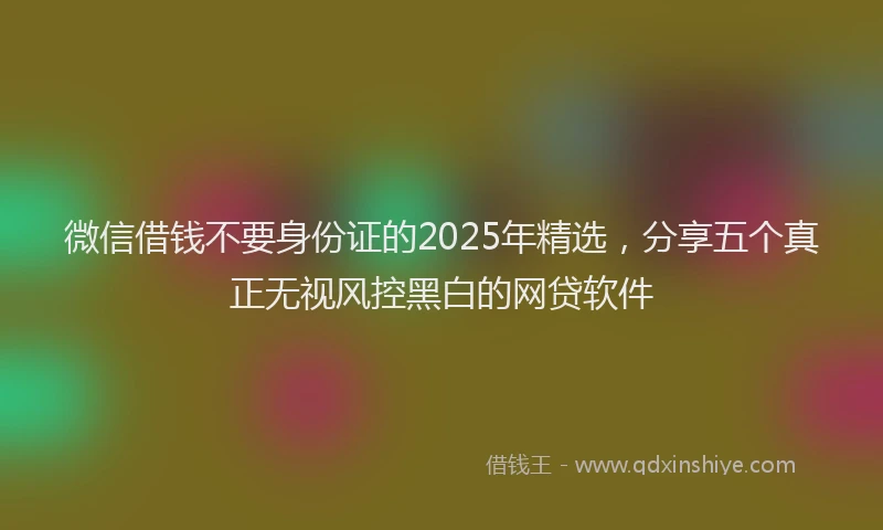 微信借钱不要身份证的2025年精选，分享五个真正无视风控黑白的网贷软件