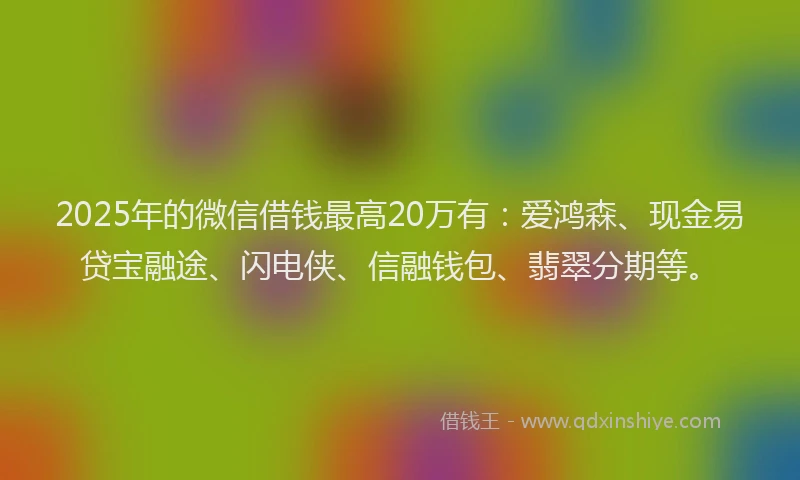 2025年的微信借钱最高20万有：爱鸿森、现金易贷宝融途、闪电侠、信融钱包、翡翠分期等。