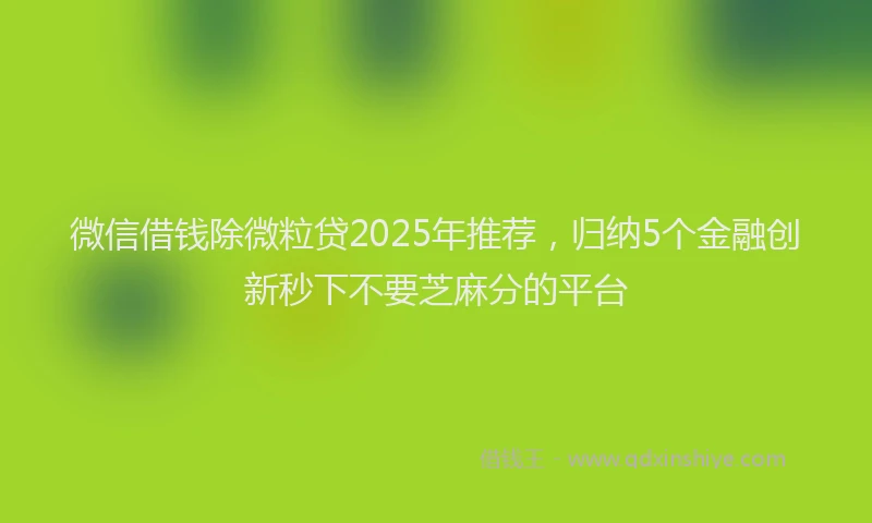 微信借钱除微粒贷2025年推荐，归纳5个金融创新秒下不要芝麻分的平台