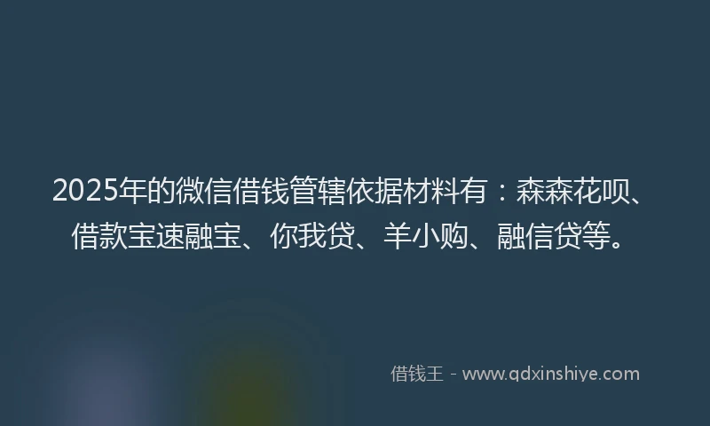 2025年的微信借钱管辖依据材料有：森森花呗、借款宝速融宝、你我贷、羊小购、融信贷等。