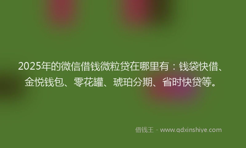 2025年的微信借钱微粒贷在哪里有：钱袋快借、金悦钱包、零花罐、琥珀分期、省时快贷等。