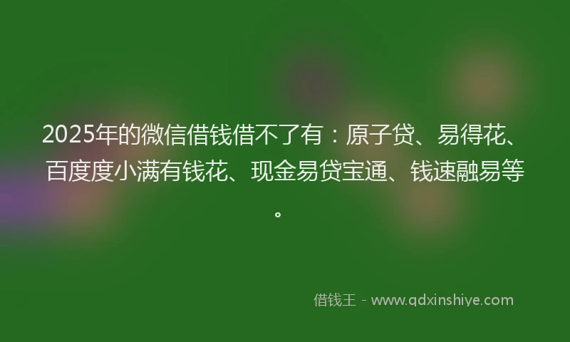 2025年的微信借钱借不了有：原子贷、易得花、百度度小满有钱花、现金易贷宝通、钱速融易等。