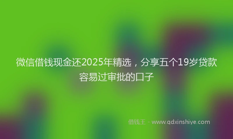 微信借钱现金还2025年精选，分享五个19岁贷款容易过审批的口子