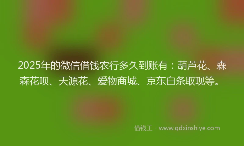 2025年的微信借钱农行多久到账有：葫芦花、森森花呗、天源花、爱物商城、京东白条取现等。