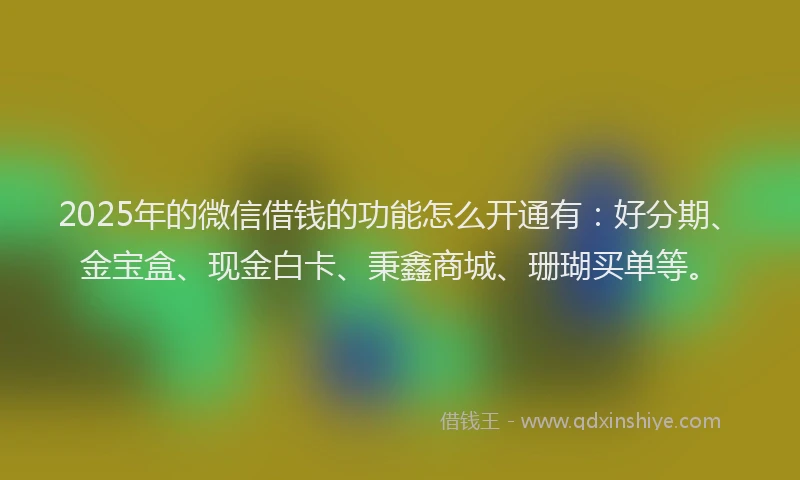 2025年的微信借钱的功能怎么开通有：好分期、金宝盒、现金白卡、秉鑫商城、珊瑚买单等。