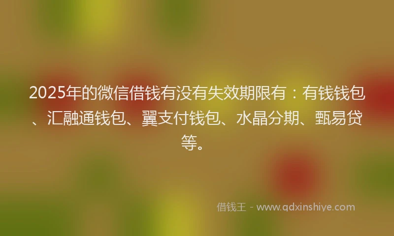 2025年的微信借钱有没有失效期限有：有钱钱包、汇融通钱包、翼支付钱包、水晶分期、甄易贷等。