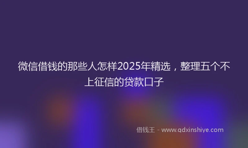 微信借钱的那些人怎样2025年精选，整理五个不上征信的贷款口子