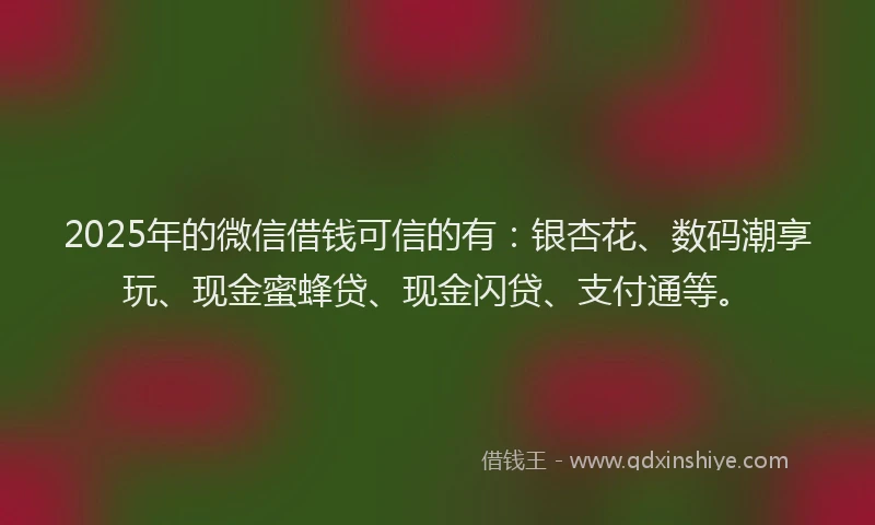 2025年的微信借钱可信的有：银杏花、数码潮享玩、现金蜜蜂贷、现金闪贷、支付通等。