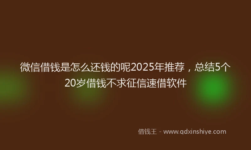 微信借钱是怎么还钱的呢2025年推荐，总结5个20岁借钱不求征信速借软件