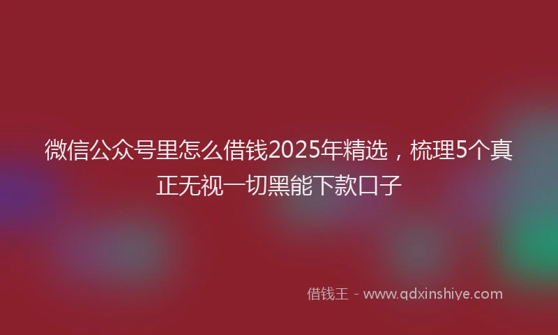 微信公众号里怎么借钱2025年精选，梳理5个真正无视一切黑能下款口子
