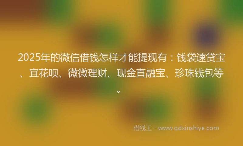2025年的微信借钱怎样才能提现有：钱袋速贷宝、宜花呗、微微理财、现金直融宝、珍珠钱包等。