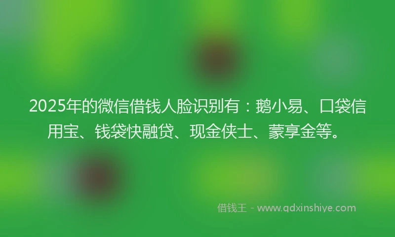 2025年的微信借钱人脸识别有：鹅小易、口袋信用宝、钱袋快融贷、现金侠士、蒙享金等。