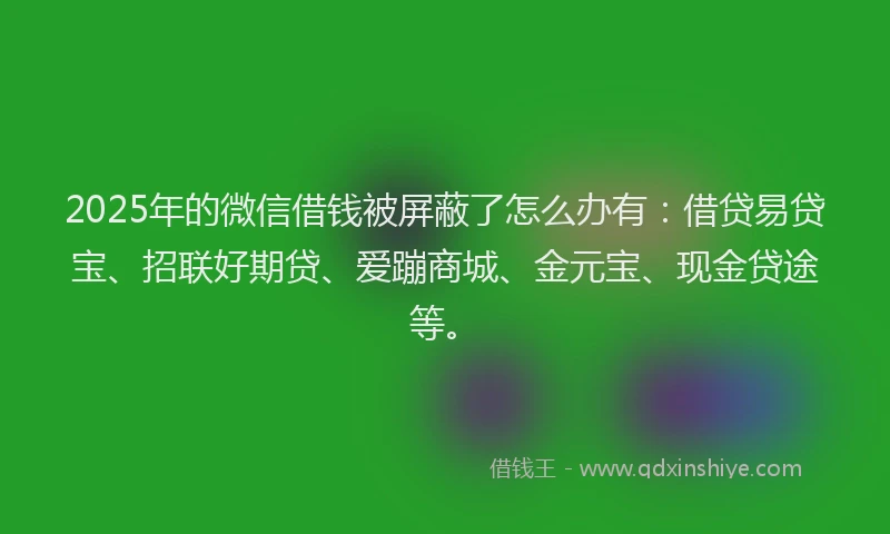 2025年的微信借钱被屏蔽了怎么办有：借贷易贷宝、招联好期贷、爱蹦商城、金元宝、现金贷途等。