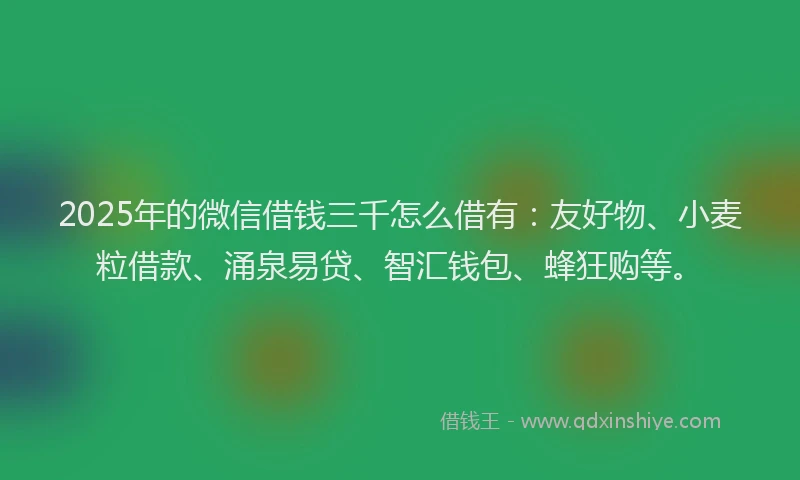 2025年的微信借钱三千怎么借有：友好物、小麦粒借款、涌泉易贷、智汇钱包、蜂狂购等。