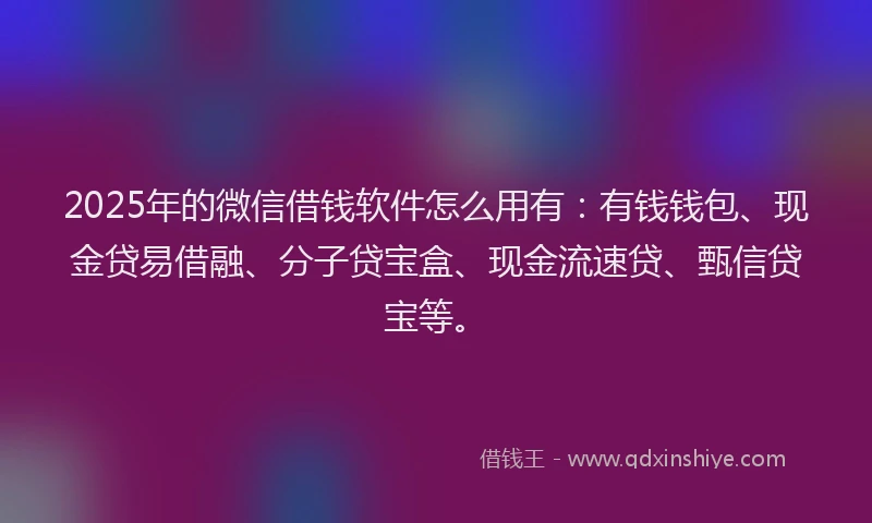 2025年的微信借钱软件怎么用有：有钱钱包、现金贷易借融、分子贷宝盒、现金流速贷、甄信贷宝等。