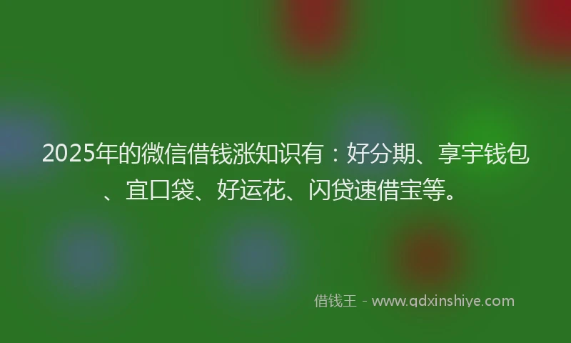 2025年的微信借钱涨知识有：好分期、享宇钱包、宜口袋、好运花、闪贷速借宝等。