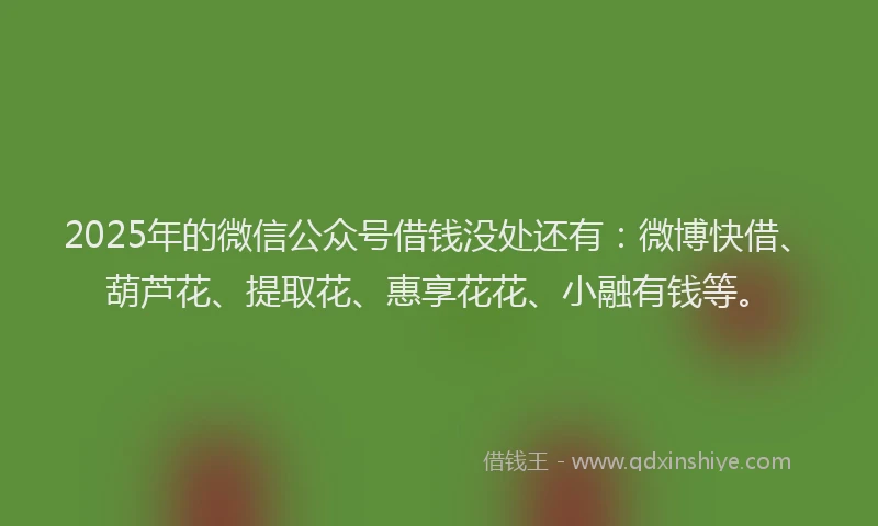 2025年的微信公众号借钱没处还有:微博快借、葫芦花、提取花、惠享花花、小融有钱等。