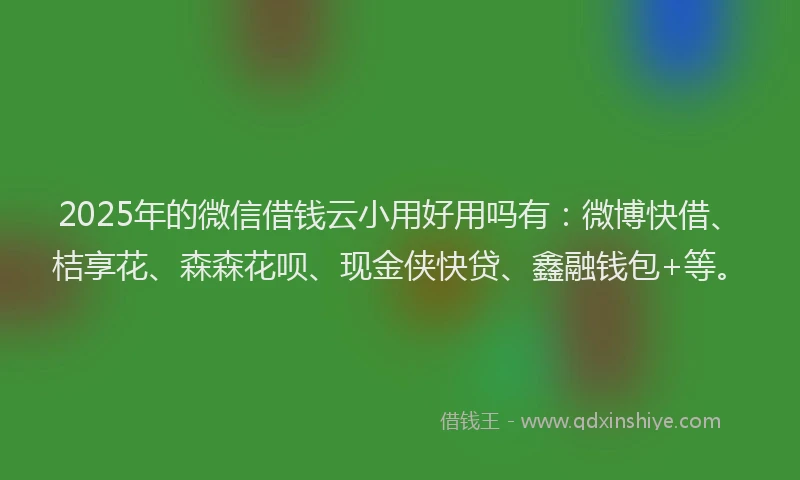 2025年的微信借钱云小用好用吗有：微博快借、桔享花、森森花呗、现金侠快贷、鑫融钱包+等。