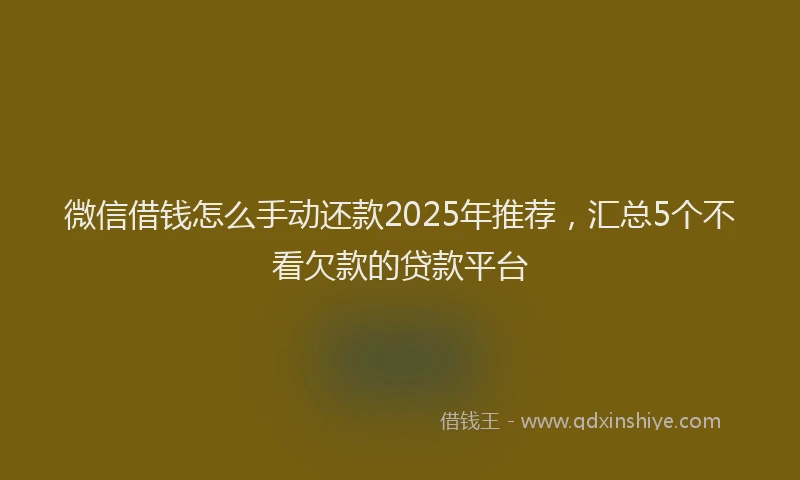 微信借钱怎么手动还款2025年推荐，汇总5个不看欠款的贷款平台