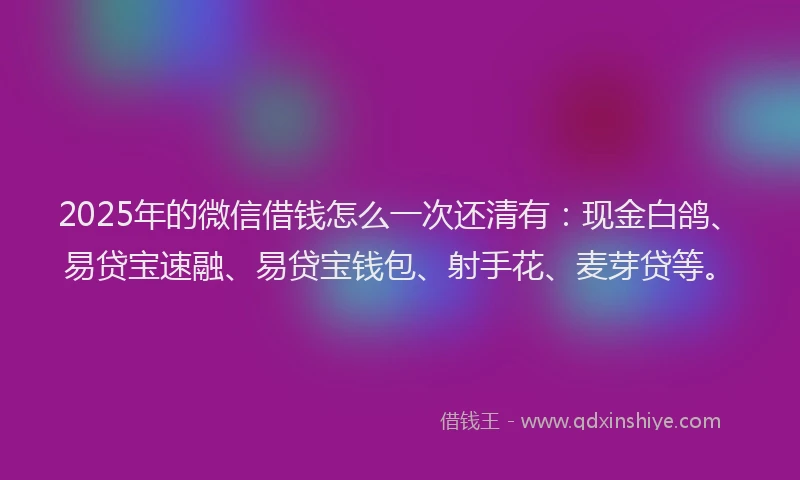 2025年的微信借钱怎么一次还清有：现金白鸽、易贷宝速融、易贷宝钱包、射手花、麦芽贷等。
