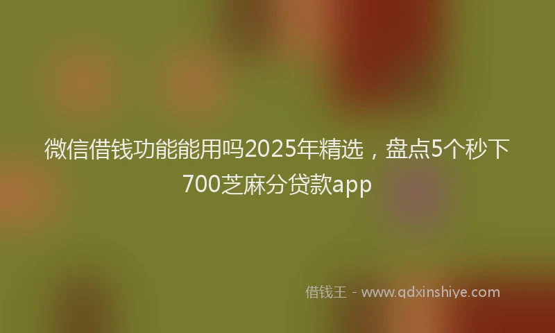 微信借钱功能能用吗2025年精选，盘点5个秒下700芝麻分贷款app