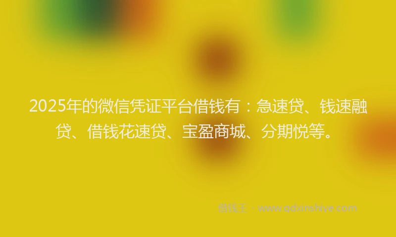 2025年的微信凭证平台借钱有：急速贷、钱速融贷、借钱花速贷、宝盈商城、分期悦等。