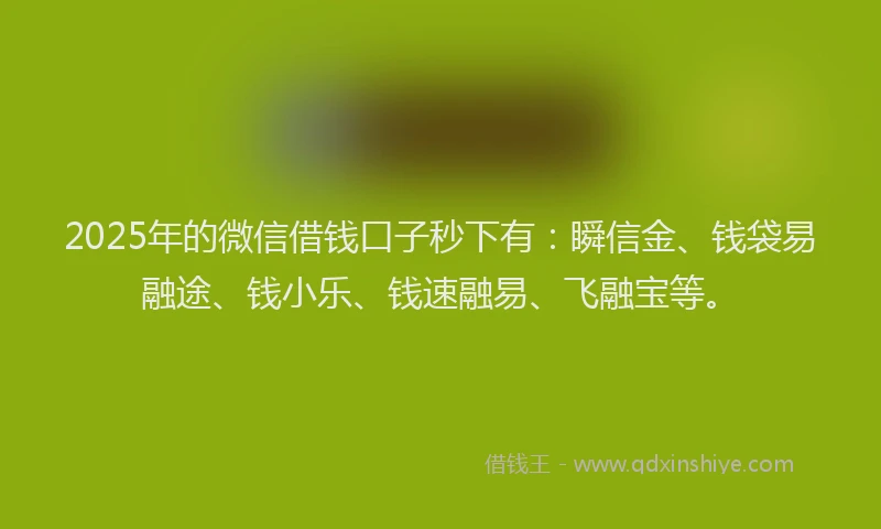 2025年的微信借钱口子秒下有：瞬信金、钱袋易融途、钱小乐、钱速融易、飞融宝等。