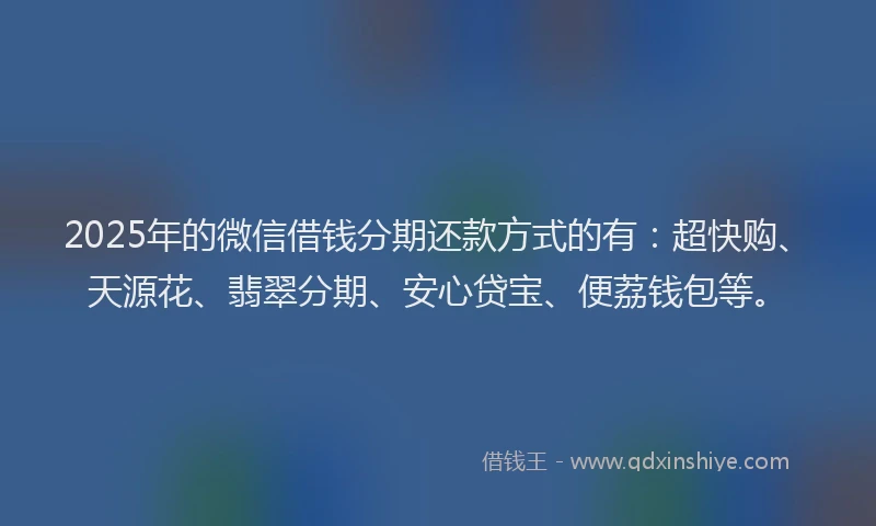 2025年的微信借钱分期还款方式的有：超快购、天源花、翡翠分期、安心贷宝、便荔钱包等。