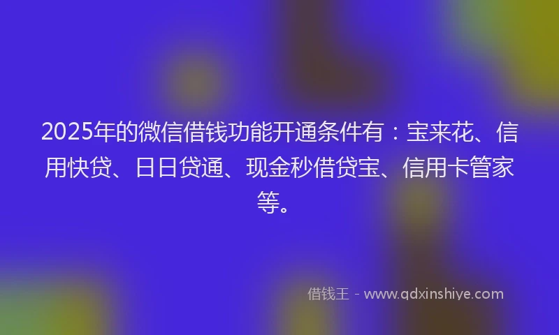 2025年的微信借钱功能开通条件有：宝来花、信用快贷、日日贷通、现金秒借贷宝、信用卡管家等。