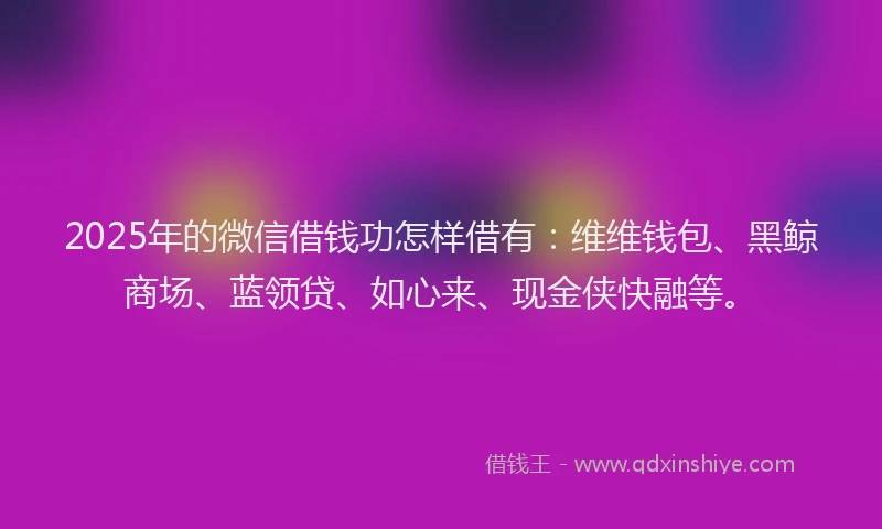 2025年的微信借钱功怎样借有：维维钱包、黑鲸商场、蓝领贷、如心来、现金侠快融等。
