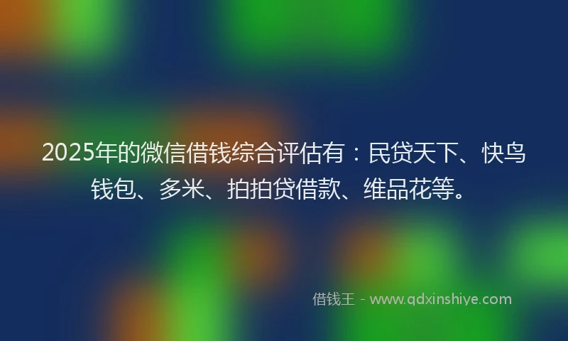 2025年的微信借钱综合评估有：民贷天下、快鸟钱包、多米、拍拍贷借款、维品花等。