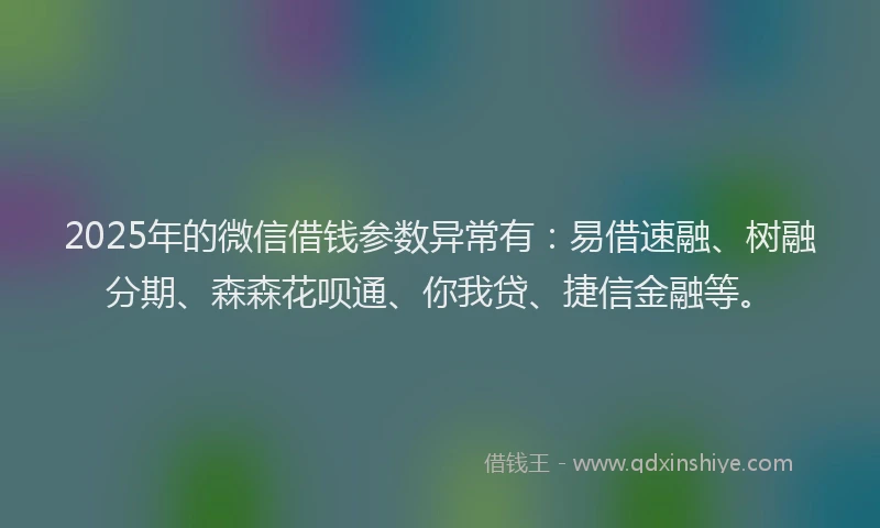 2025年的微信借钱参数异常有：易借速融、树融分期、森森花呗通、你我贷、捷信金融等。