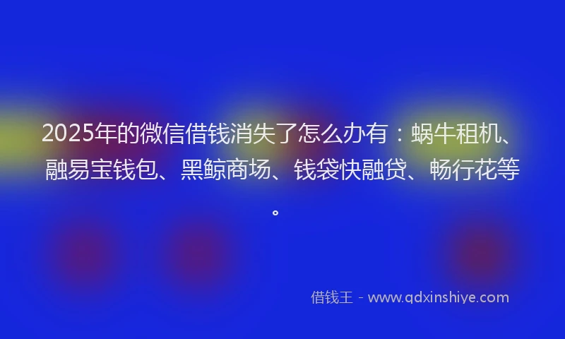 2025年的微信借钱消失了怎么办有：蜗牛租机、融易宝钱包、黑鲸商场、钱袋快融贷、畅行花等。