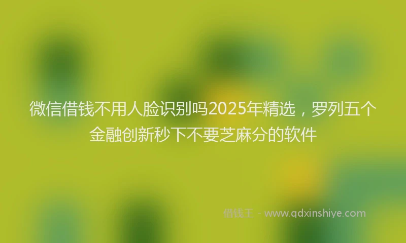 微信借钱不用人脸识别吗2025年精选，罗列五个金融创新秒下不要芝麻分的软件