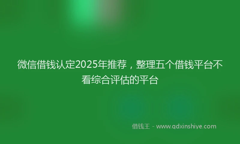 微信借钱认定2025年推荐，整理五个借钱平台不看综合评估的平台