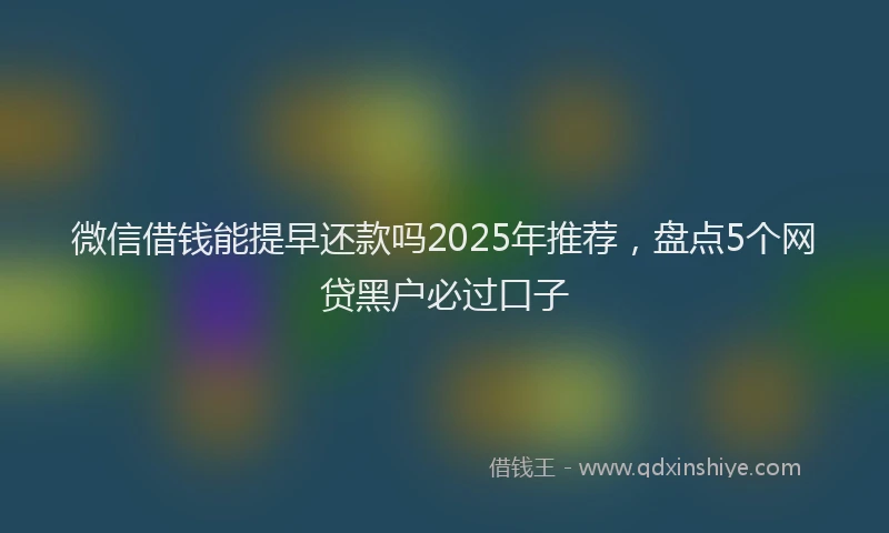 微信借钱能提早还款吗2025年推荐，盘点5个网贷黑户必过口子