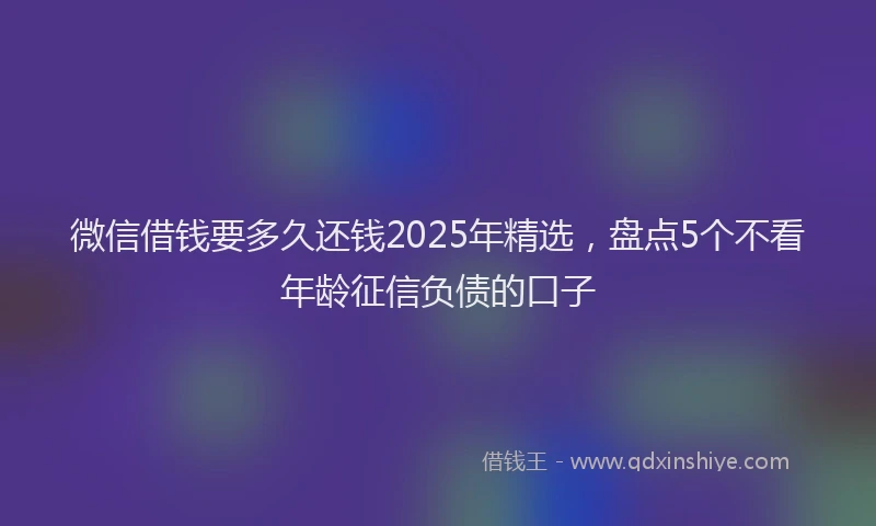 微信借钱要多久还钱2025年精选，盘点5个不看年龄征信负债的口子