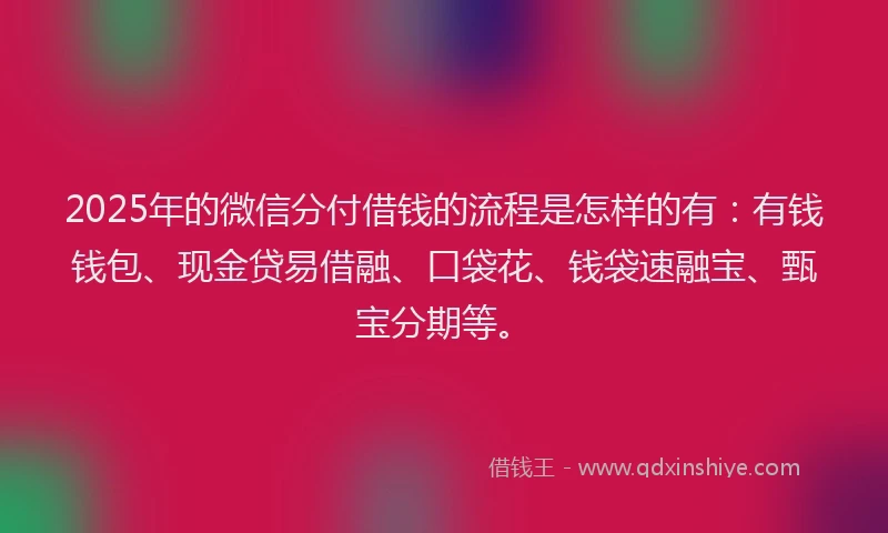 2025年的微信分付借钱的流程是怎样的有：有钱钱包、现金贷易借融、口袋花、钱袋速融宝、甄宝分期等。