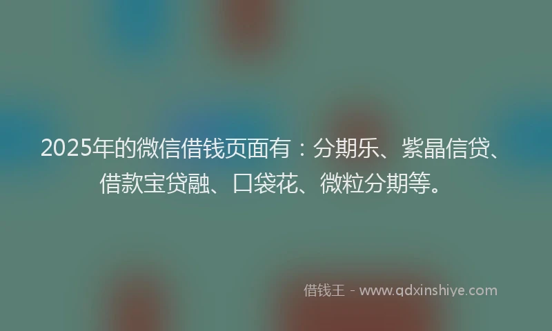 2025年的微信借钱页面有：分期乐、紫晶信贷、借款宝贷融、口袋花、微粒分期等。