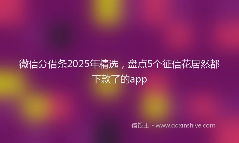 微信分借条2025年精选，盘点5个征信花居然都下款了的app