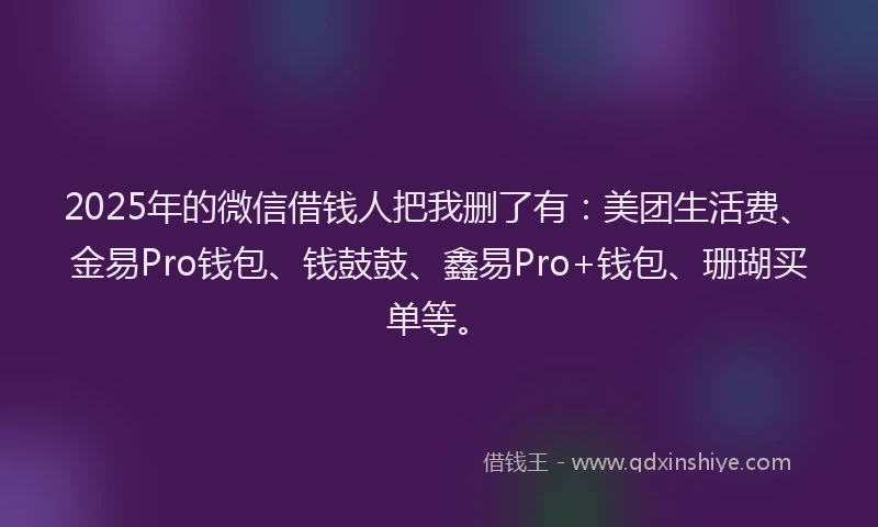 2025年的微信借钱人把我删了有：美团生活费、金易Pro钱包、钱鼓鼓、鑫易Pro+钱包、珊瑚买单等。