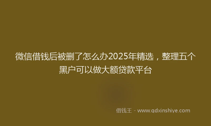 微信借钱后被删了怎么办2025年精选，整理五个黑户可以做大额贷款平台
