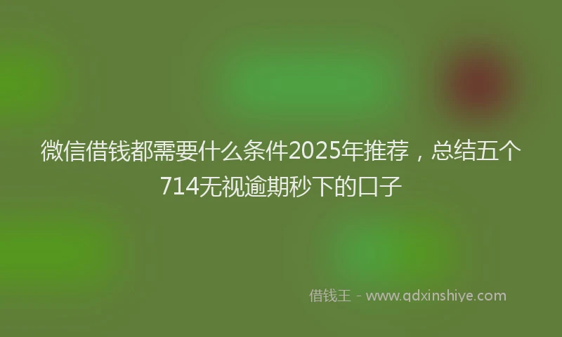 微信借钱都需要什么条件2025年推荐，总结五个714无视逾期秒下的口子