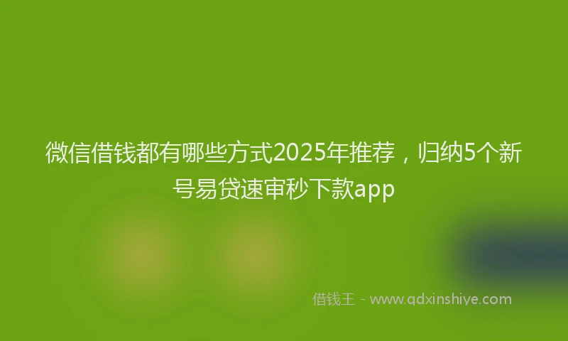 微信借钱都有哪些方式2025年推荐，归纳5个新号易贷速审秒下款app