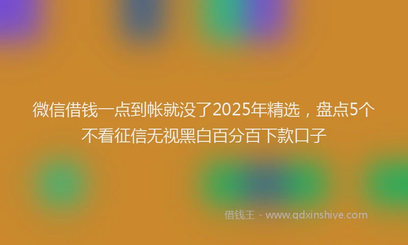 微信借钱一点到帐就没了2025年精选，盘点5个不看征信无视黑白百分百下款口子