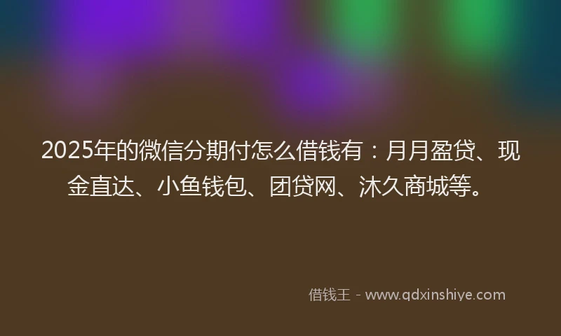 2025年的微信分期付怎么借钱有：月月盈贷、现金直达、小鱼钱包、团贷网、沐久商城等。